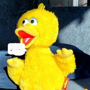 Issac Mizrahi loves Sesame Street